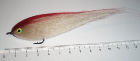 č.1007 rybka s rudým hřbetem